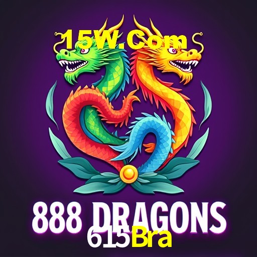 Programa VIP 615Bra